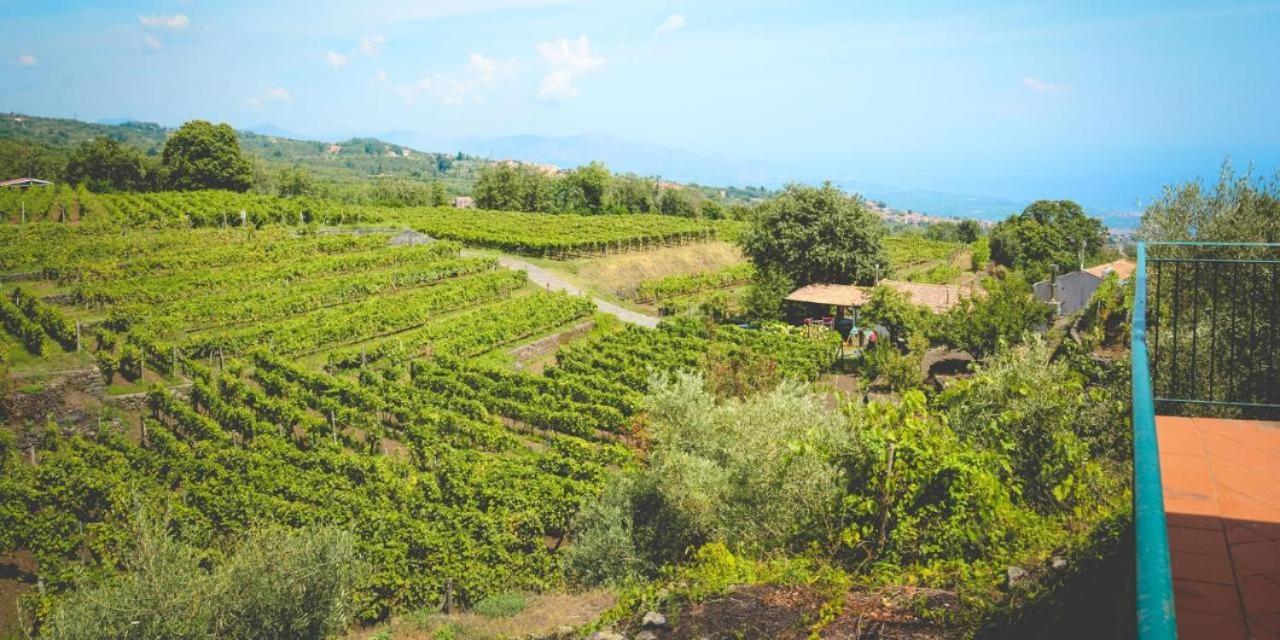 Le Case Del Merlo Turismo Rurale ミーロ エクステリア 写真