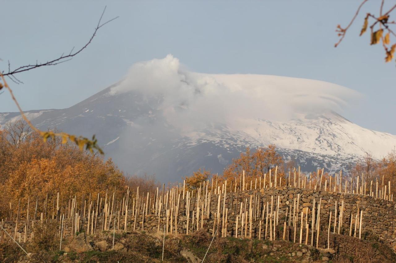 Agriturismo Le Case Del Merlo ミーロ エクステリア 写真